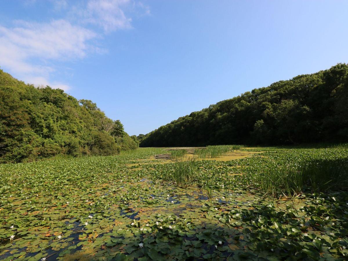 4 Honeyborough Farm Cottages 밀포드헤이븐 외부 사진